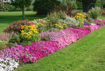 Top 2015 flower bed designs flower garden ideas flowering gardening plants design ideas photos and diy makeovers