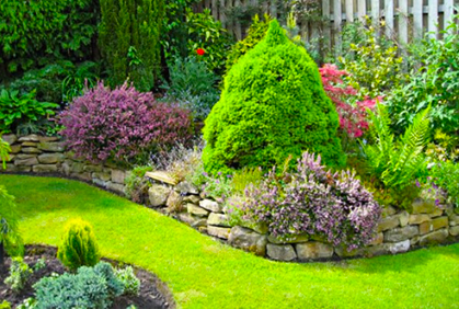 Best landscaping with evergreen trees and shrubs designs ideas 