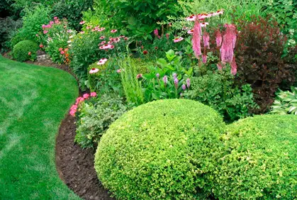 Top 2016 landscaping with evergreen trees and shrubs design ideas 