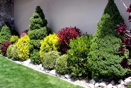 DIY landscaping with shrubs and bushes designs ideas and online 2016 