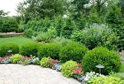 ... of landscaping with shrubs and bushes designs ideas and photos