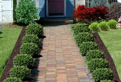 patio rock layout