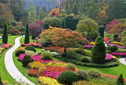 DIY best trees for landscaping plans photos designs ideas and online 2016 photo gallery