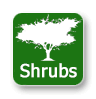 shrubs for landscaping ideas