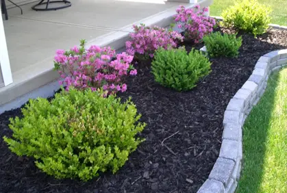 DIY types of shrubs and bushes landscape designs ideas and online 2015 photo gallery