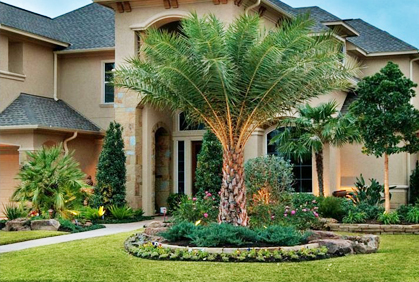 Simple best trees for landscaping plans photos designs ideas pictures and diy plans