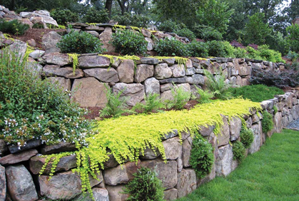 Simple landscape retaining wall designs ideas pictures and diy plans