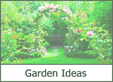 Top 2016 Garden Design Pictures