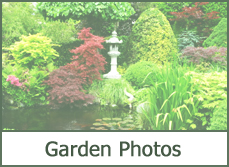 Garden Design Photo Gallery