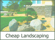 Cheap Landscaping Ideas